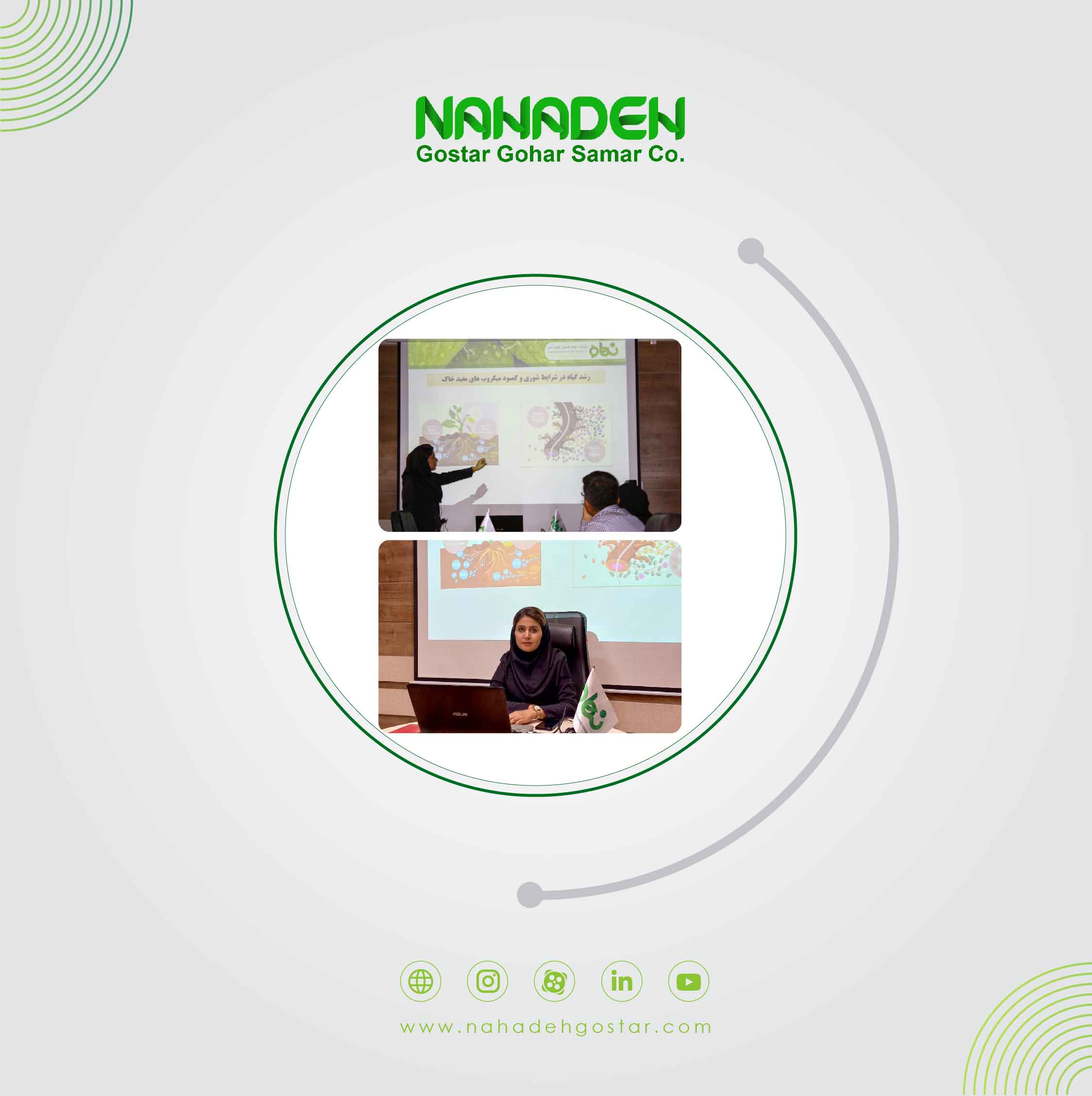 Presentation on the effect of the composition Ironica Complex a biological growth stimulant